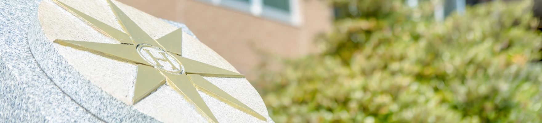 写真：学校
