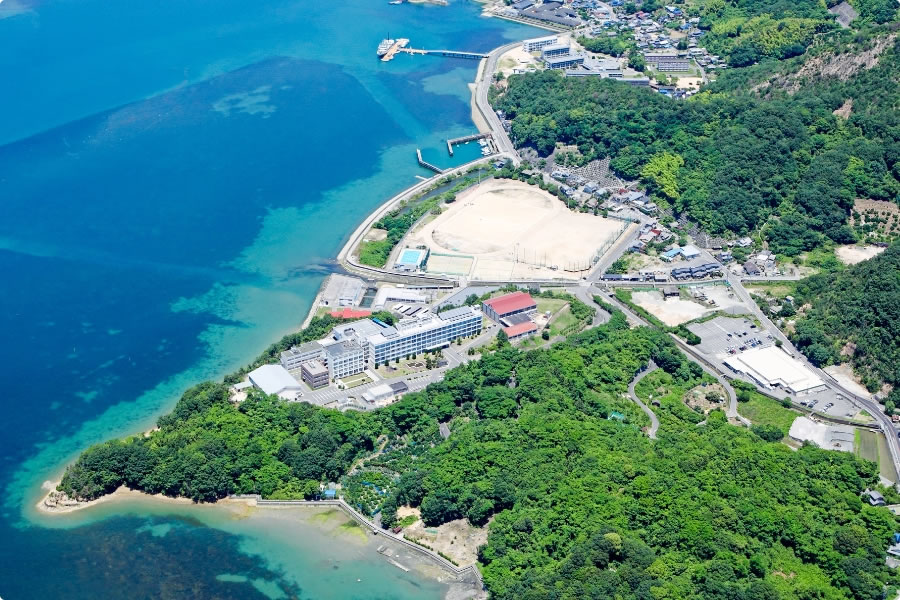 写真：学校
