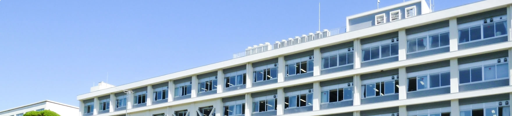 写真：学校