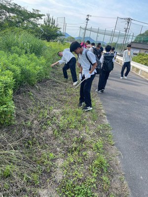 画像1.jpg