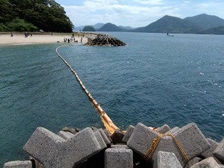 s-DSC_0769.jpg